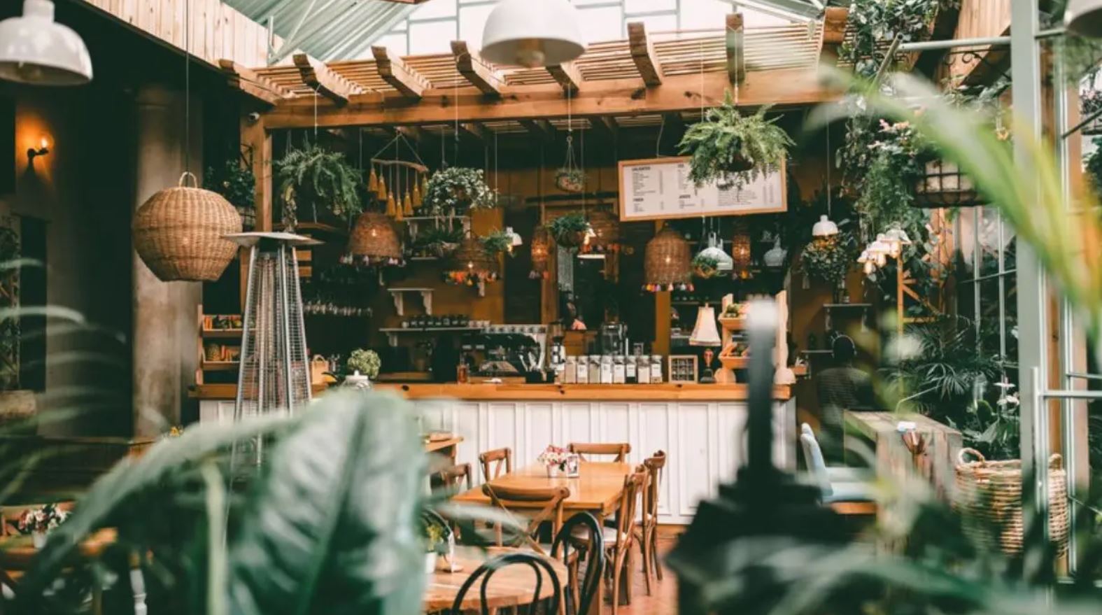 Sustainable Sips: Eco-Friendly Initiatives in Brisbane's Cafes - Eco Friendly Cafes National Parks