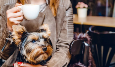 pet-friendly cafés